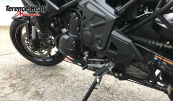 2019 Kawasaki Versys 650 full