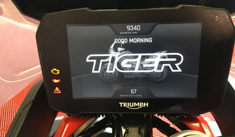 2021 Triumph Tiger 900 GT full