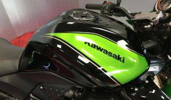 2011 Kawasaki Z750R full