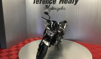 2017 Kawasaki Z650 full