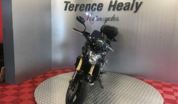 2008 Honda Hornet 600 full