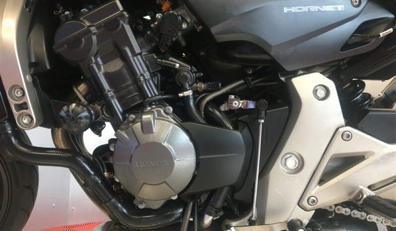 2008 Honda Hornet 600 full