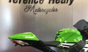 2015 Kawasaki ZX10R NINJA full