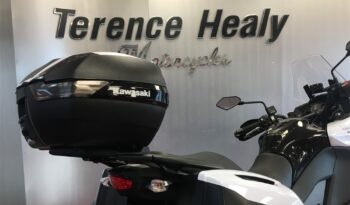 2015 Kawasaki VERSYS 1000 full