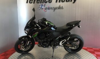 2016 Kawasaki Z800 full