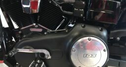 2017 Harley Davidson STREET BOB