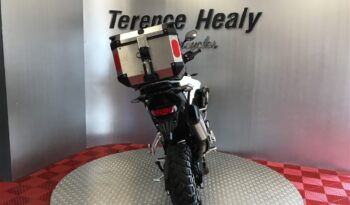 2022 Triumph Tiger 900 RALLY PRO full