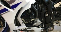 2019 Suzuki GSXR1000R