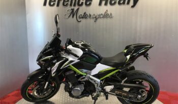 2019 Kawasaki Z900 full