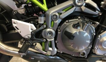 2019 Kawasaki Z900 full