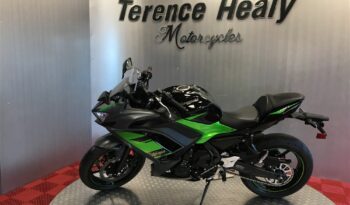 2024 Kawasaki Ninja 650 full