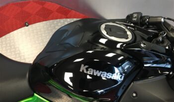 2024 Kawasaki Ninja 650 full