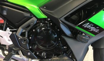 2024 Kawasaki Ninja 650 full