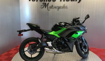 2024 Kawasaki Ninja 650 full