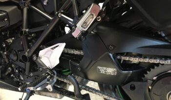 2019 Kawasaki NINJA H2 SX full