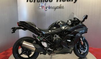 2019 Kawasaki NINJA H2 SX full