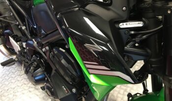 2020 Kawasaki Z900 full