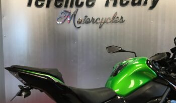 2020 Kawasaki Z900 full