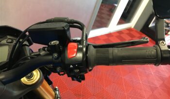 2019 Suzuki GSXS1000 full