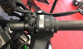 2024 Kawasaki Z1000SX NINJA full