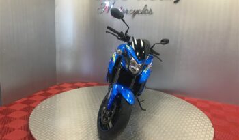 2019 Suzuki GSXS 750 full