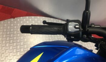 2019 Suzuki GSXS 750 full