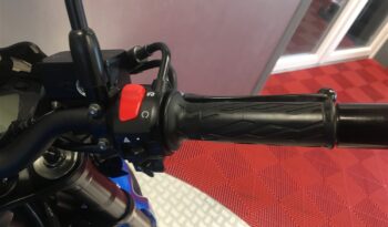 2019 Suzuki GSXS 750 full