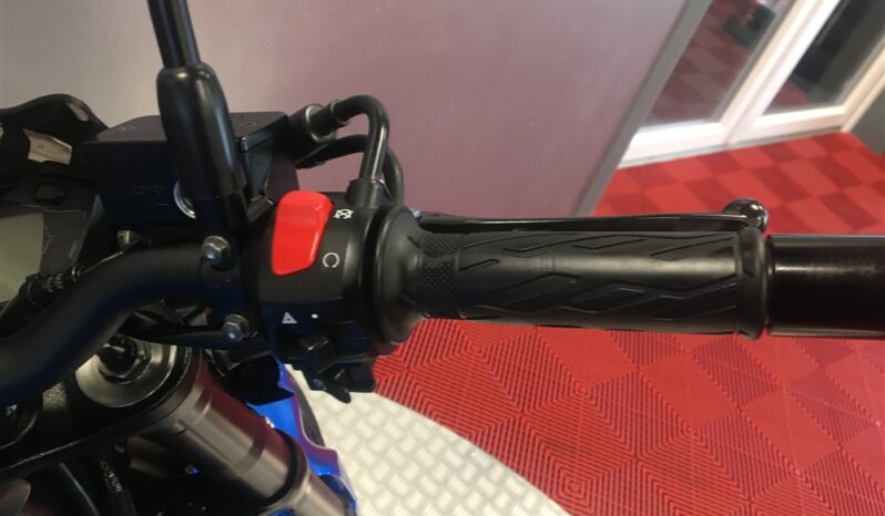 2019 Suzuki GSXS 750 full