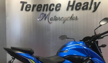 2019 Suzuki GSXS 750 full
