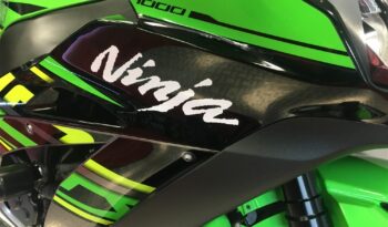 2020 Kawasaki ZX10R NINJA full