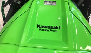 2020 Kawasaki ZX10R NINJA full