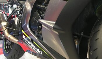 2020 Kawasaki ZX10R NINJA full