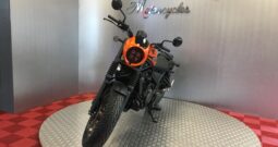 NEW 2025 Honda CMX500 REBEL