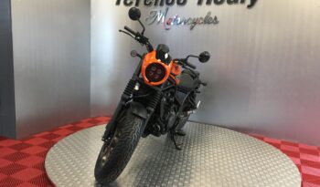 NEW 2025 Honda CMX500 REBEL full