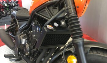 NEW 2025 Honda CMX500 REBEL full