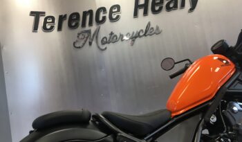 NEW 2025 Honda CMX500 REBEL full