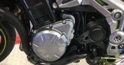 2018 Kawasaki Z900