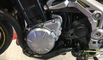 2018 Kawasaki Z900 full
