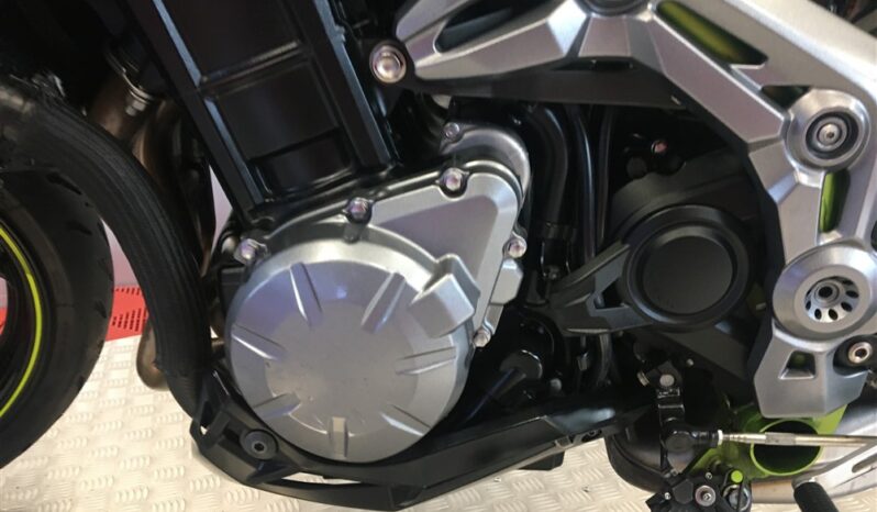 2018 Kawasaki Z900 full