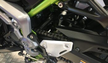 2018 Kawasaki Z900 full