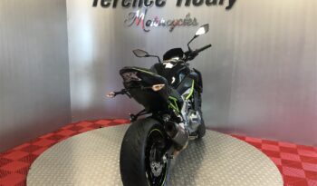 2018 Kawasaki Z900 full