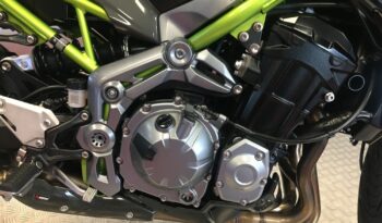 2018 Kawasaki Z900 full