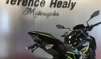 2018 Kawasaki Z900 full