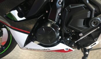 2022 Kawasaki NINJA 650 full