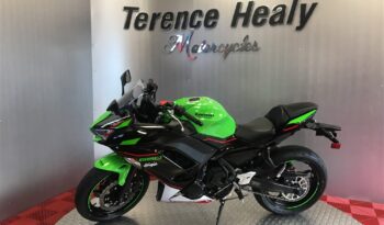 2022 Kawasaki NINJA 650 full