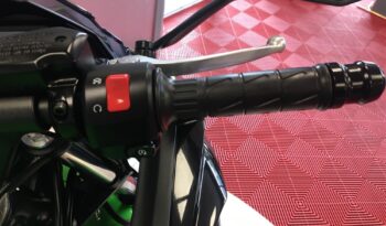 2022 Kawasaki NINJA 650 full