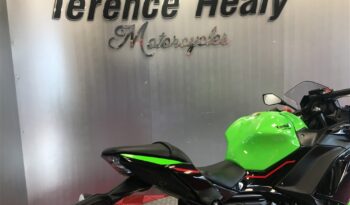 2022 Kawasaki NINJA 650 full