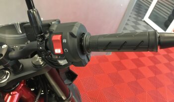 NEW 2025 Honda CB750 Hornet 25YM full