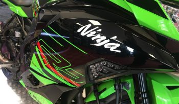 2024 Kawasaki ZX4RR full