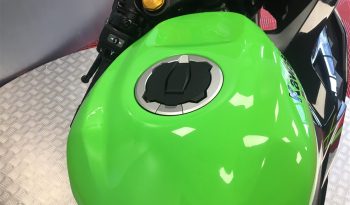 2024 Kawasaki ZX4RR full